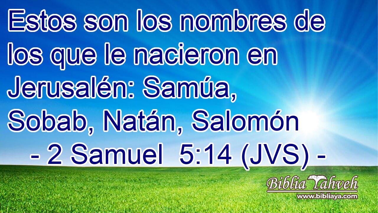 Estos son los nombres de los que le nacieron en Jerusalén: Samúa, Sobab, Natán, Salomón