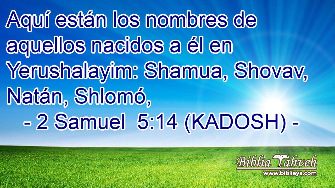 Aquí están los nombres de aquellos nacidos a él en Yerushalayim: Shamua, Shovav, Natán, Shlomó, 