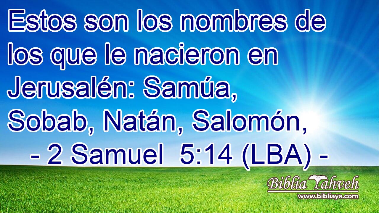 Estos son los nombres de los que le nacieron en Jerusalén: Samúa, Sobab, Natán, Salomón,