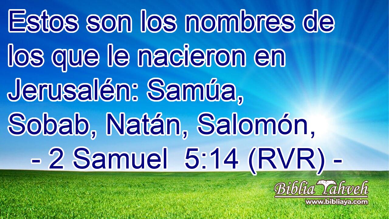 Estos son los nombres de los que le nacieron en Jerusalén: Samúa, Sobab, Natán, Salomón,