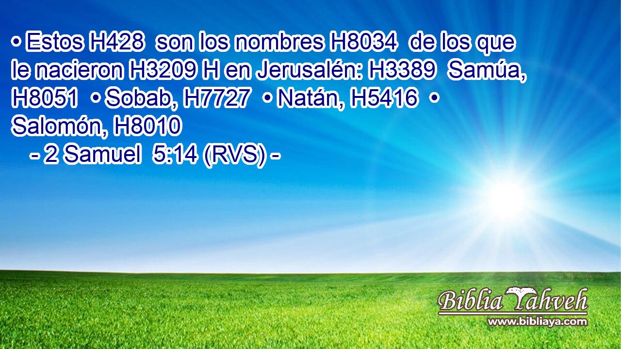 • Estos H428  son los nombres H8034  de los que le nacieron H3209 H en Jerusalén: H3389  Samúa, H8051  • Sobab, H7727  • Natán, H5416  • Salomón, H8010  