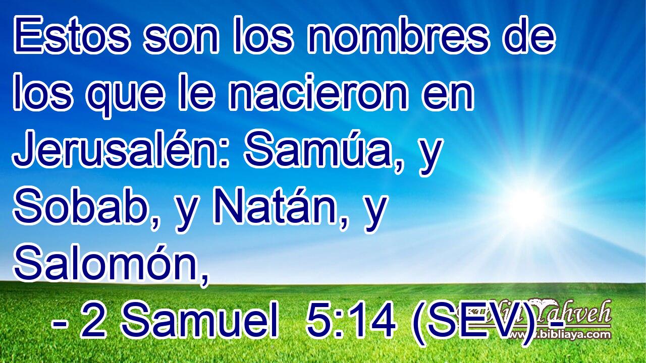 Estos son los nombres de los que le nacieron en Jerusalén: Samúa, y Sobab, y Natán, y Salomón,