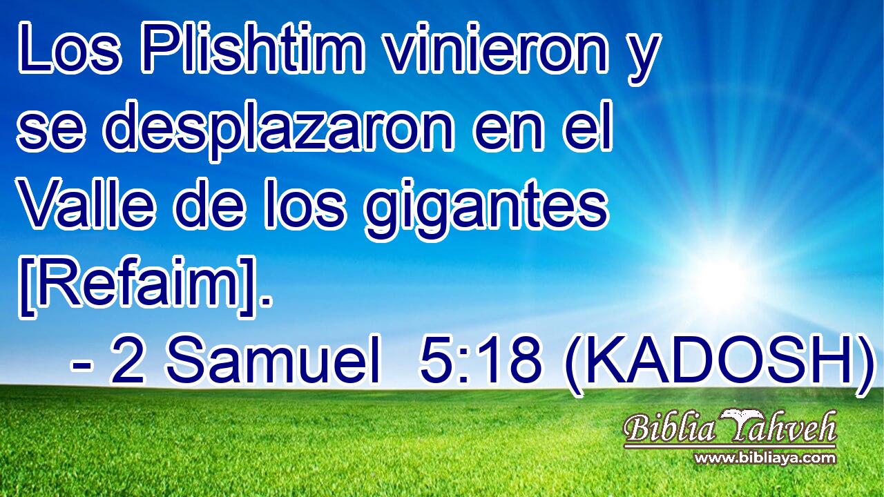  Los Plishtim vinieron y se desplazaron en el Valle de los gigantes [Refaim]. 
