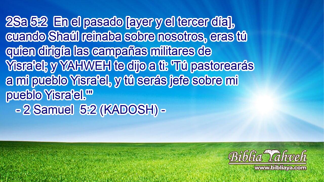  En el pasado [ayer y el tercer día], cuando Shaúl reinaba sobre nosotros, eras tú quien dirigía las campañas militares de Yisra'el; y YAHWEH te dijo a ti: 'Tú pastorearás a mi pueblo Yisra'el, y tú serás jefe sobre mi pueblo Yisra'el.'