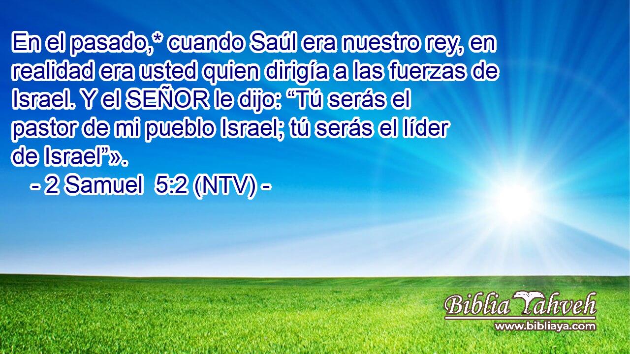 En el pasado,* cuando Saúl era nuestro rey, en realidad era usted quien dirigía a las fuerzas de Israel. Y el SEÑOR le dijo: “Tú serás el pastor de mi pueblo Israel; tú serás el líder de Israel”».