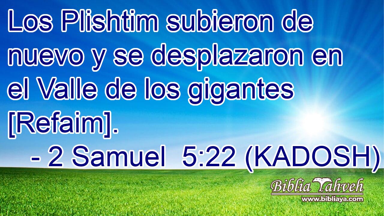  Los Plishtim subieron de nuevo y se desplazaron en el Valle de los gigantes [Refaim]. 