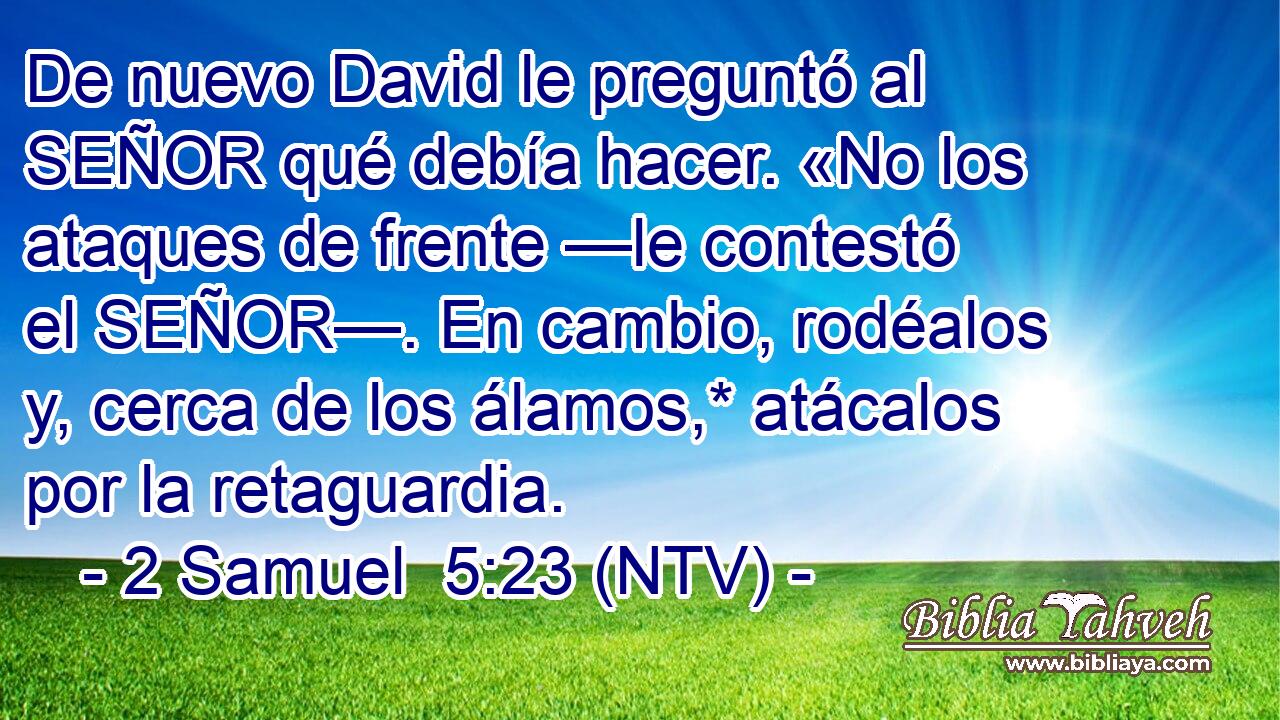 De nuevo David le preguntó al SEÑOR qué debía hacer. «No los ataques de frente —le contestó el SEÑOR—. En cambio, rodéalos y, cerca de los álamos,* atácalos por la retaguardia.