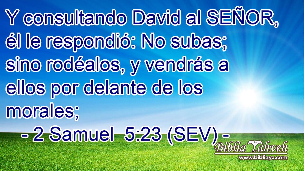 Y consultando David al SEÑOR, él le respondió: No subas; sino rodéalos, y vendrás a ellos por delante de los morales;
