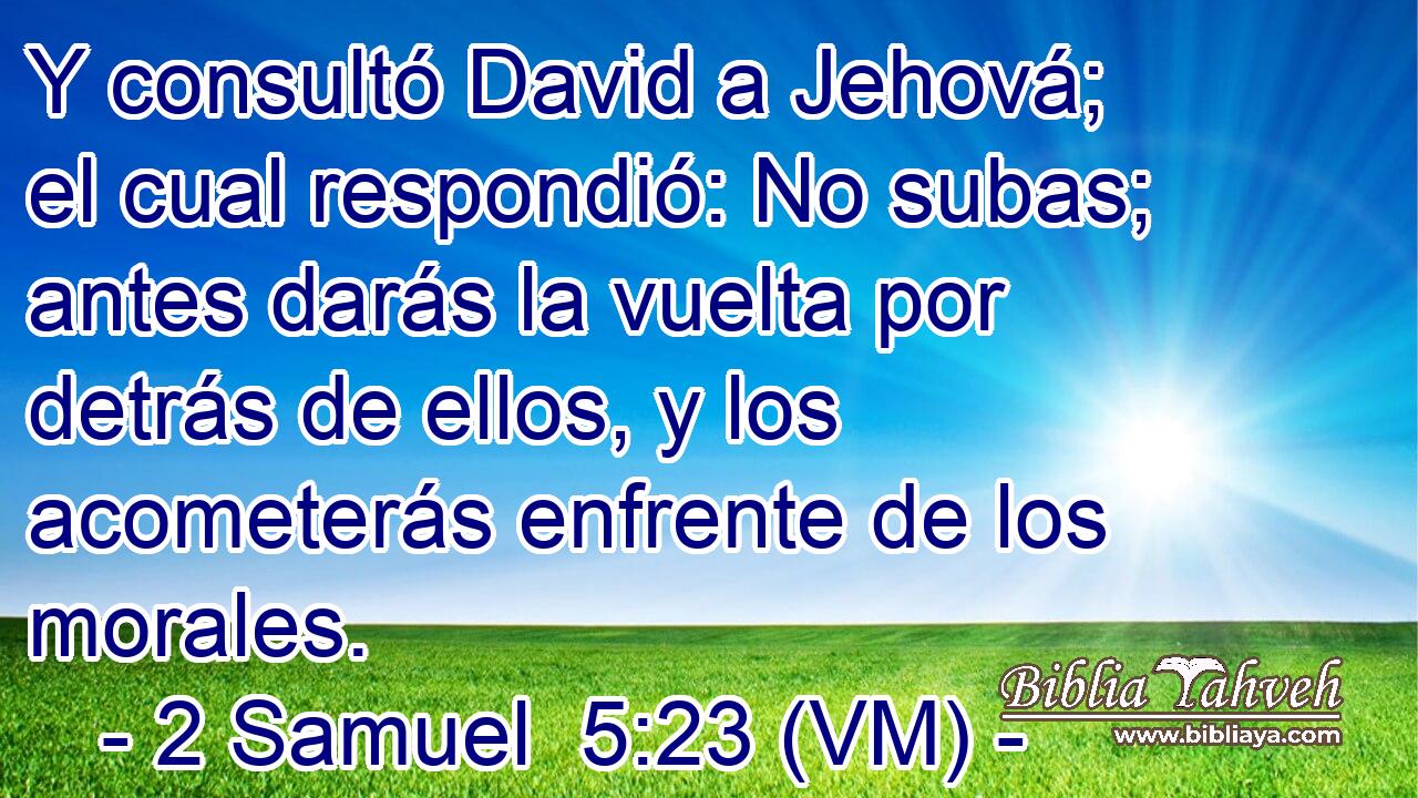  Y consultó David a Jehová; el cual respondió: No subas; antes darás la vuelta por detrás de ellos, y los acometerás enfrente de los morales. 