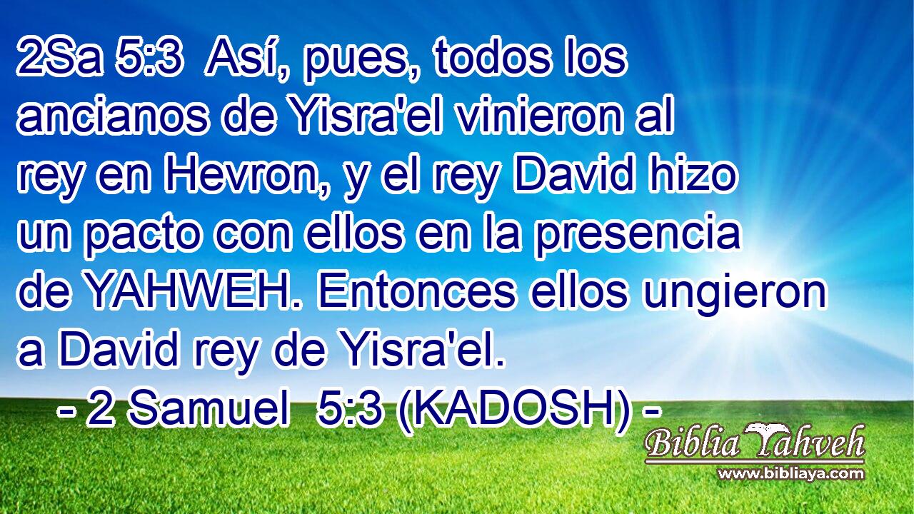  Así, pues, todos los ancianos de Yisra'el vinieron al rey en Hevron, y el rey David hizo un pacto con ellos en la presencia de YAHWEH. Entonces ellos ungieron a David rey de Yisra'el. 
