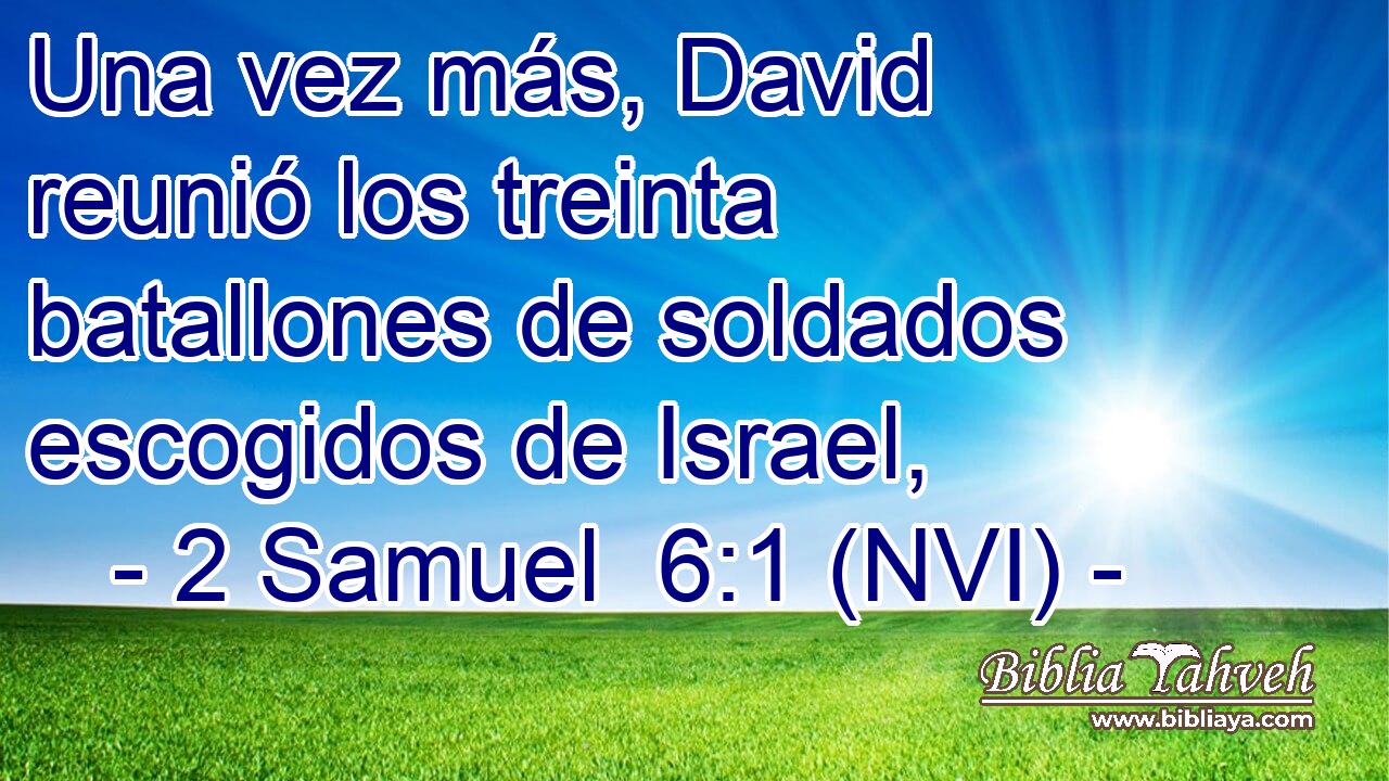  Una vez más, David reunió los treinta batallones de soldados escogidos de Israel, 