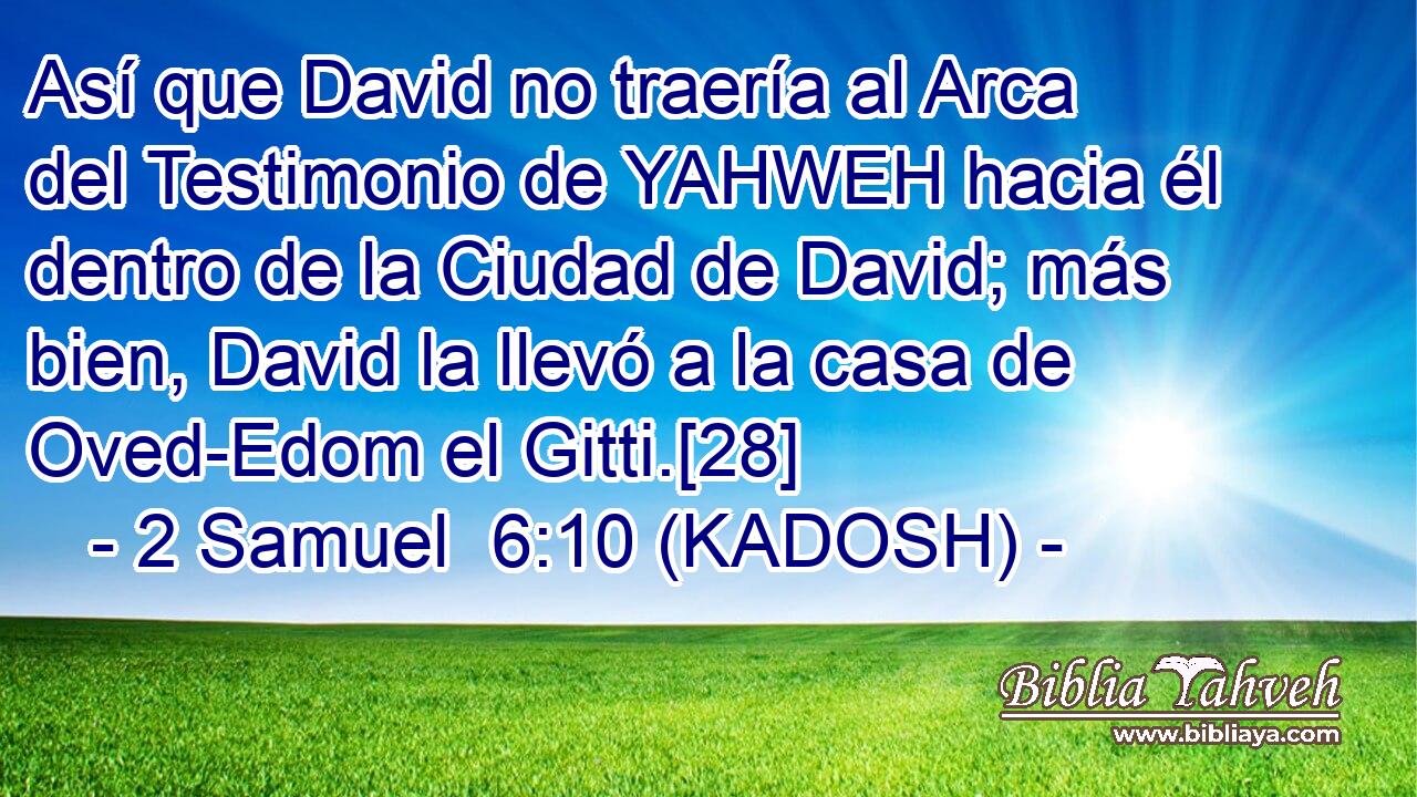  Así que David no traería al Arca del Testimonio de YAHWEH hacia él dentro de la Ciudad de David; más bien, David la llevó a la casa de Oved-Edom el Gitti.[28] 