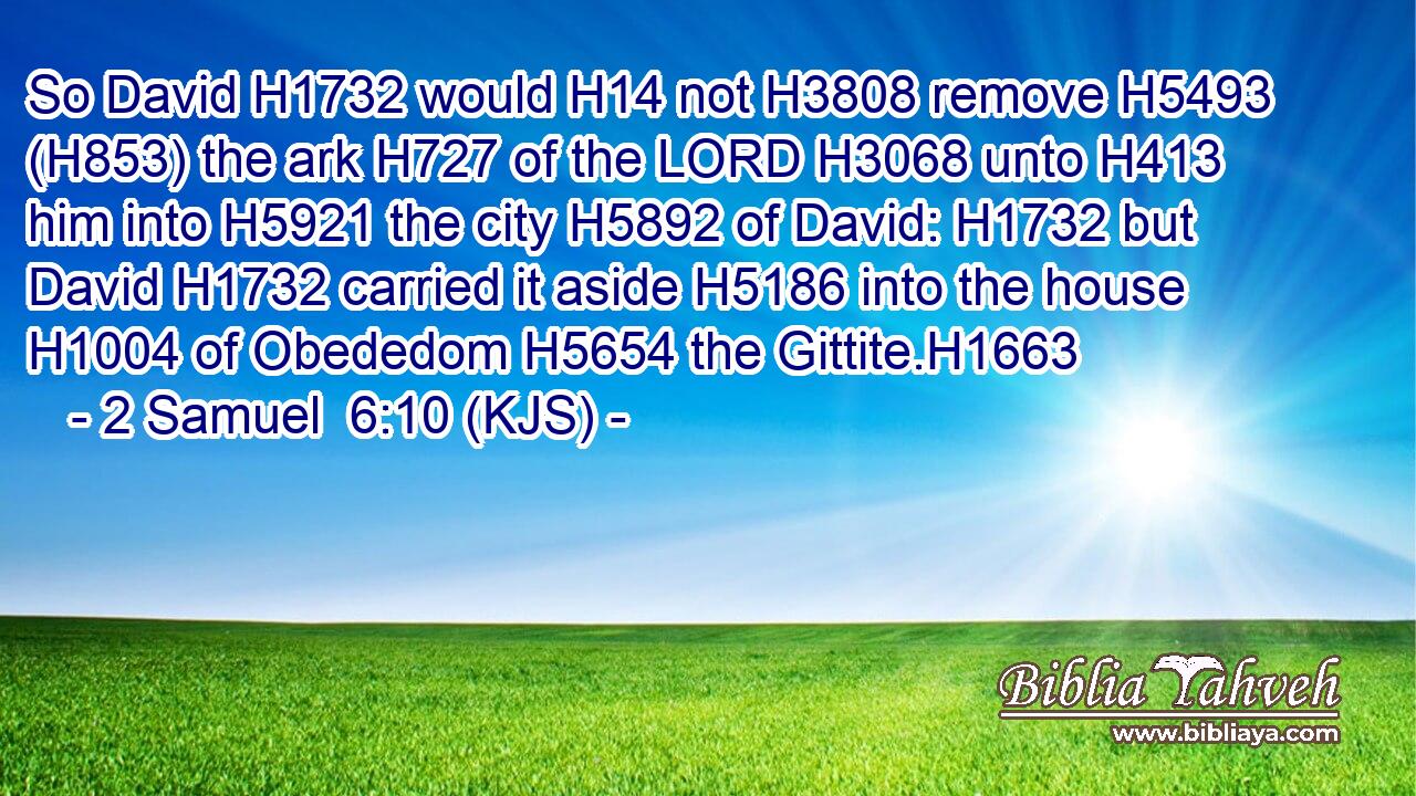 So David H1732 would H14 not H3808 remove H5493 (H853) the ark H727 of the LORD H3068 unto H413 him into H5921 the city H5892 of David: H1732 but David H1732 carried it aside H5186 into the house H1004 of Obededom H5654 the Gittite.H1663