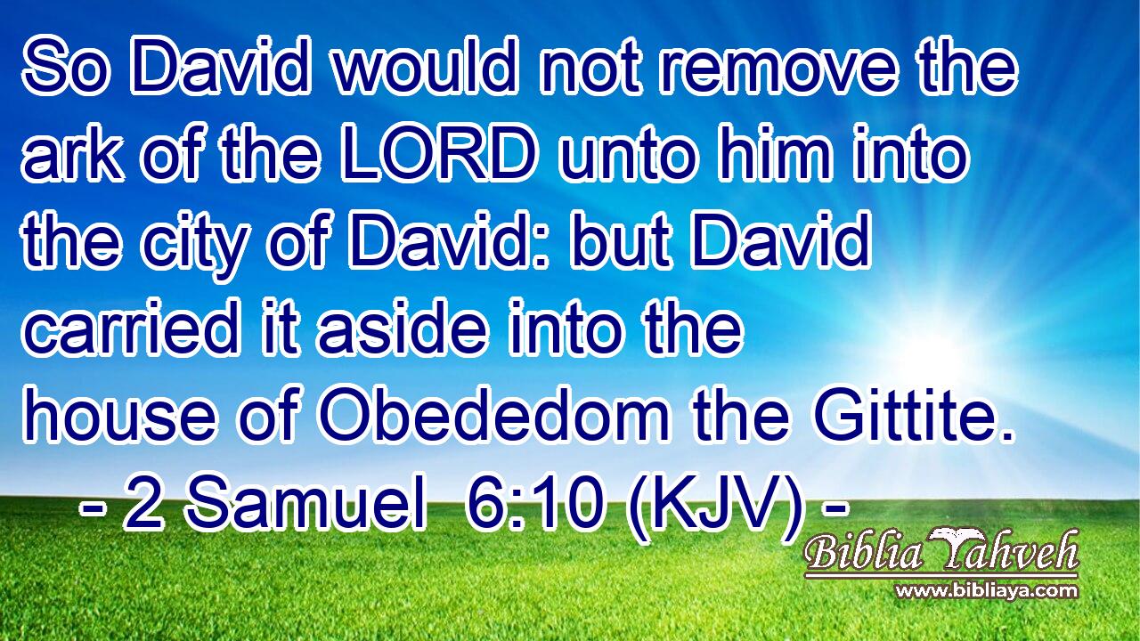So David would not remove the ark of the LORD unto him into the city of David: but David carried it aside into the house of Obededom the Gittite.