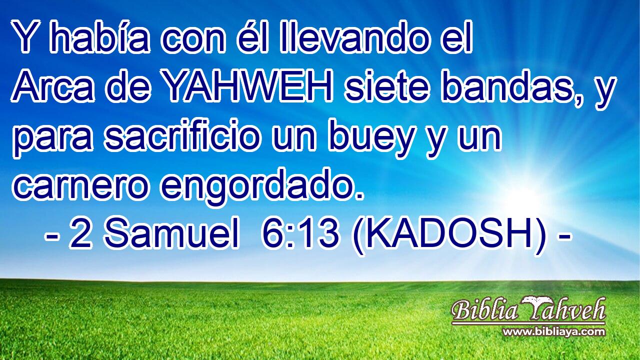  Y había con él llevando el Arca de YAHWEH siete bandas, y para sacrificio un buey y un carnero engordado. 