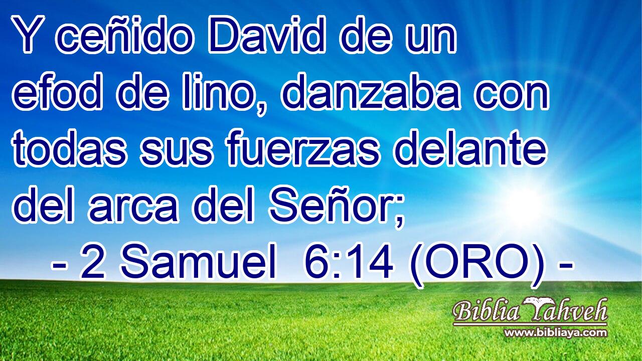  Y ceñido David de un efod de lino, danzaba con todas sus fuerzas delante del arca del Señor; 