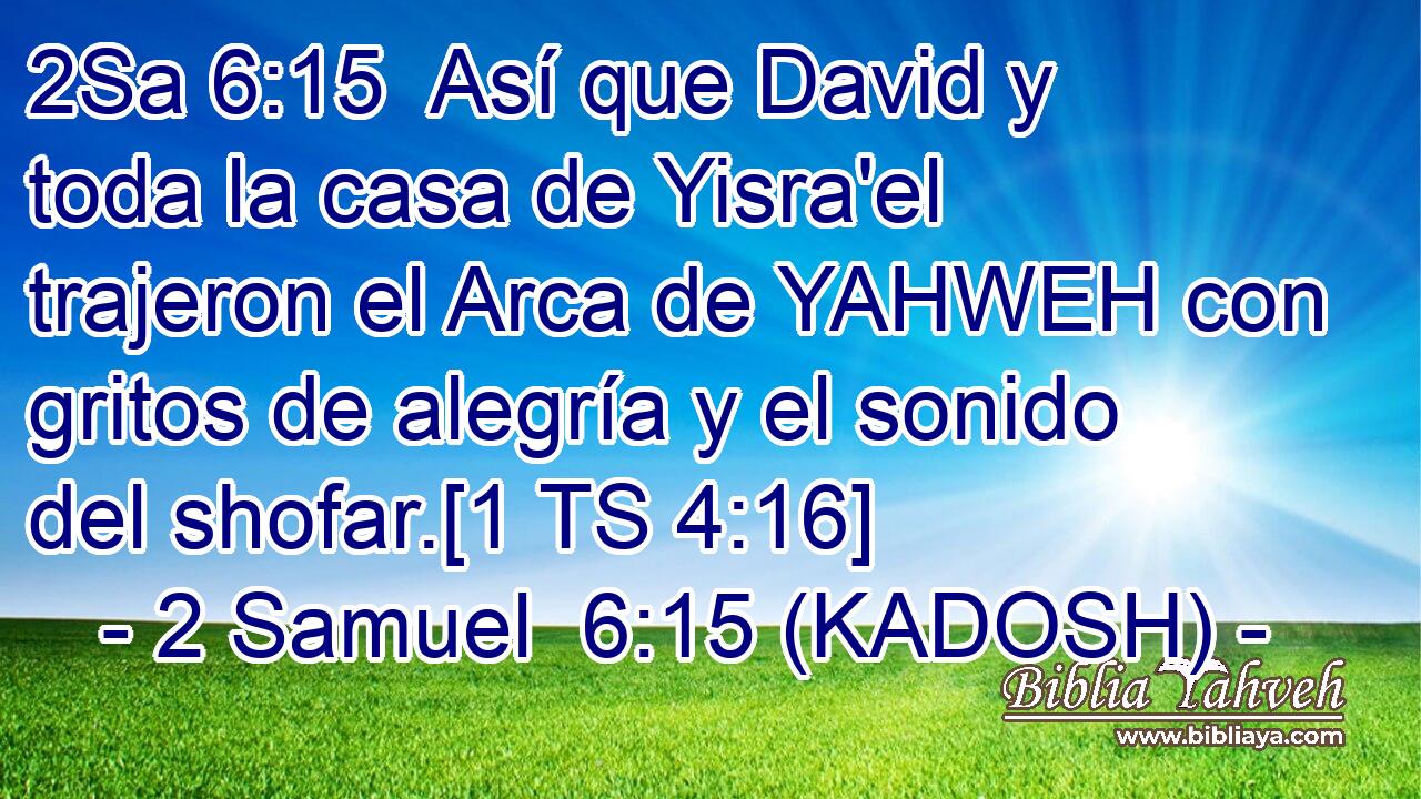  Así que David y toda la casa de Yisra'el trajeron el Arca de YAHWEH con gritos de alegría y el sonido del shofar.[1 TS 4:16] 
