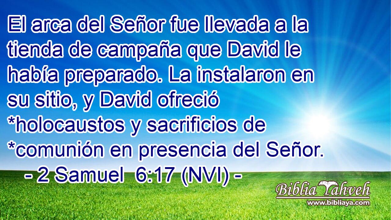  El arca del Señor fue llevada a la tienda de campaña que David le había preparado. La instalaron en su sitio, y David ofreció *holocaustos y sacrificios de *comunión en presencia del Señor. 
