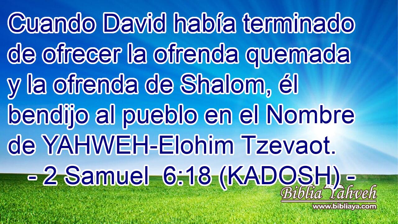  Cuando David había terminado de ofrecer la ofrenda quemada y la ofrenda de Shalom, él bendijo al pueblo en el Nombre de YAHWEH-Elohim Tzevaot. 