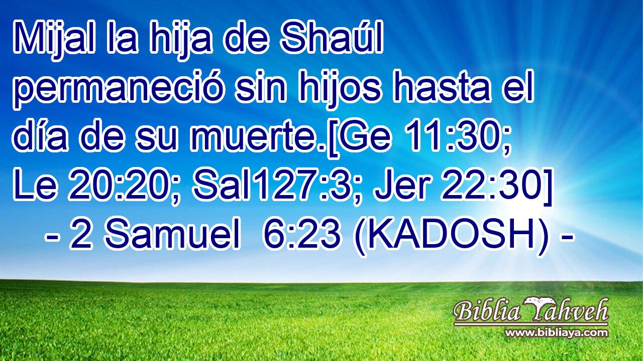  Mijal la hija de Shaúl permaneció sin hijos hasta el día de su muerte.[Ge 11:30; Le 20:20; Sal127:3; Jer 22:30] 