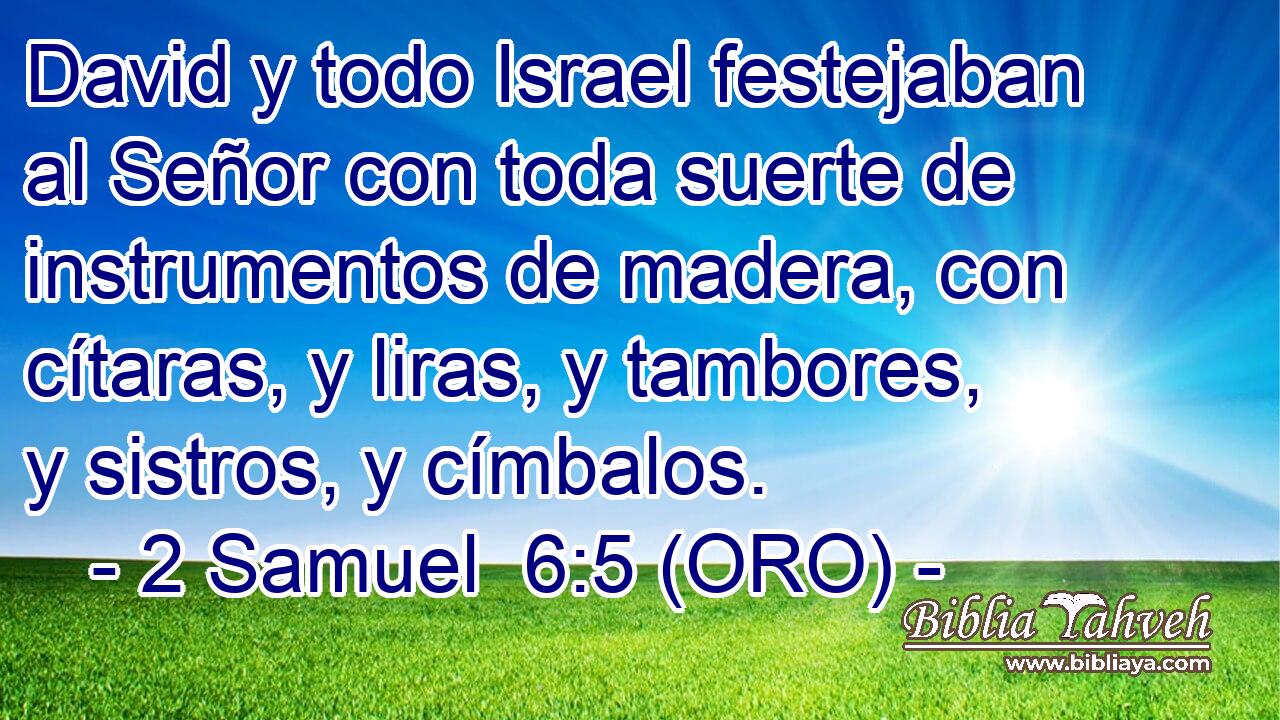 David y todo Israel festejaban al Señor con toda suerte de instrumentos de madera, con cítaras, y liras, y tambores, y sistros, y címbalos. 