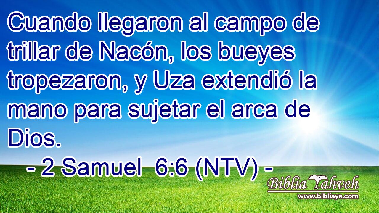Cuando llegaron al campo de trillar de Nacón, los bueyes tropezaron, y Uza extendió la mano para sujetar el arca de Dios.