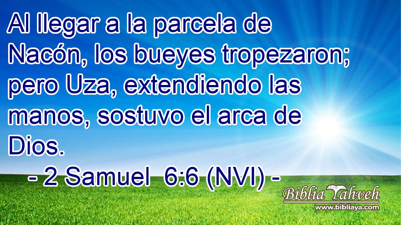  Al llegar a la parcela de Nacón, los bueyes tropezaron; pero Uza, extendiendo las manos, sostuvo el arca de Dios. 