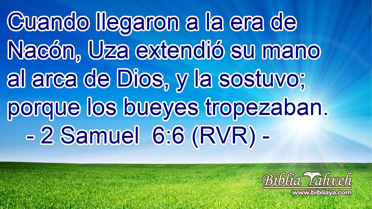 Cuando llegaron a la era de Nacón, Uza extendió su mano al arca de Dios, y la sostuvo; porque los bueyes tropezaban.