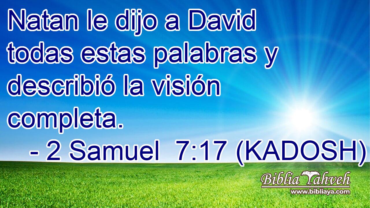  Natan le dijo a David todas estas palabras y describió la visión completa. 