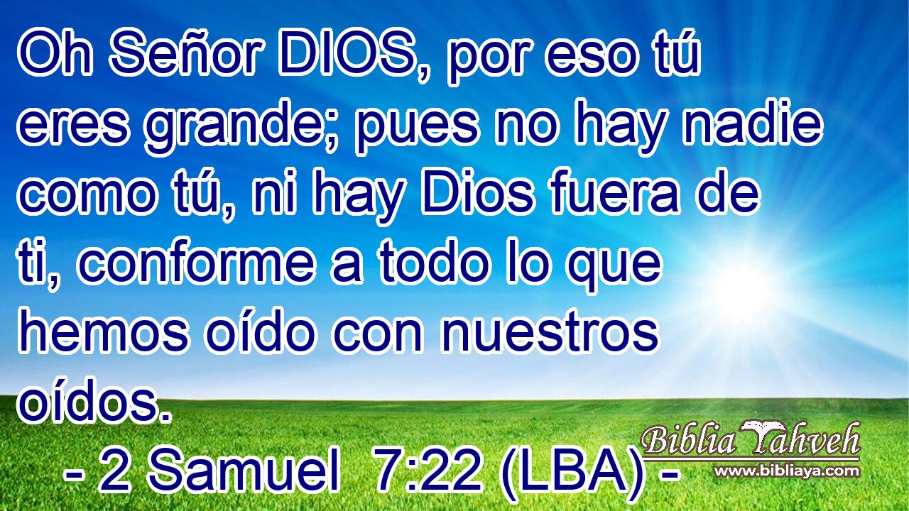 Oh Señor DIOS, por eso tú eres grande; pues no hay nadie como tú, ni hay Dios fuera de ti, conforme a todo lo que hemos oído con nuestros oídos.