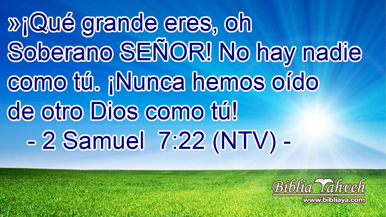 »¡Qué grande eres, oh Soberano SEÑOR! No hay nadie como tú. ¡Nunca hemos oído de otro Dios como tú!