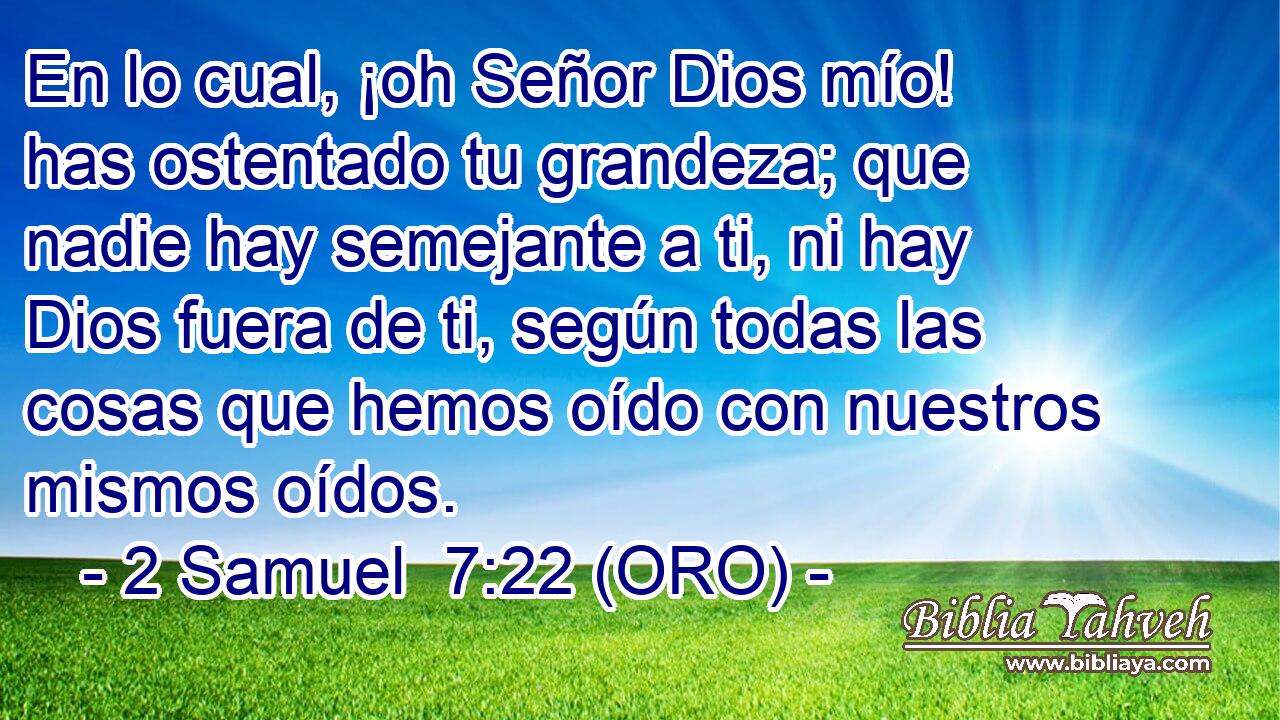  En lo cual, ¡oh Señor Dios mío! has ostentado tu grandeza; que nadie hay semejante a ti, ni hay Dios fuera de ti, según todas las cosas que hemos oído con nuestros mismos oídos. 