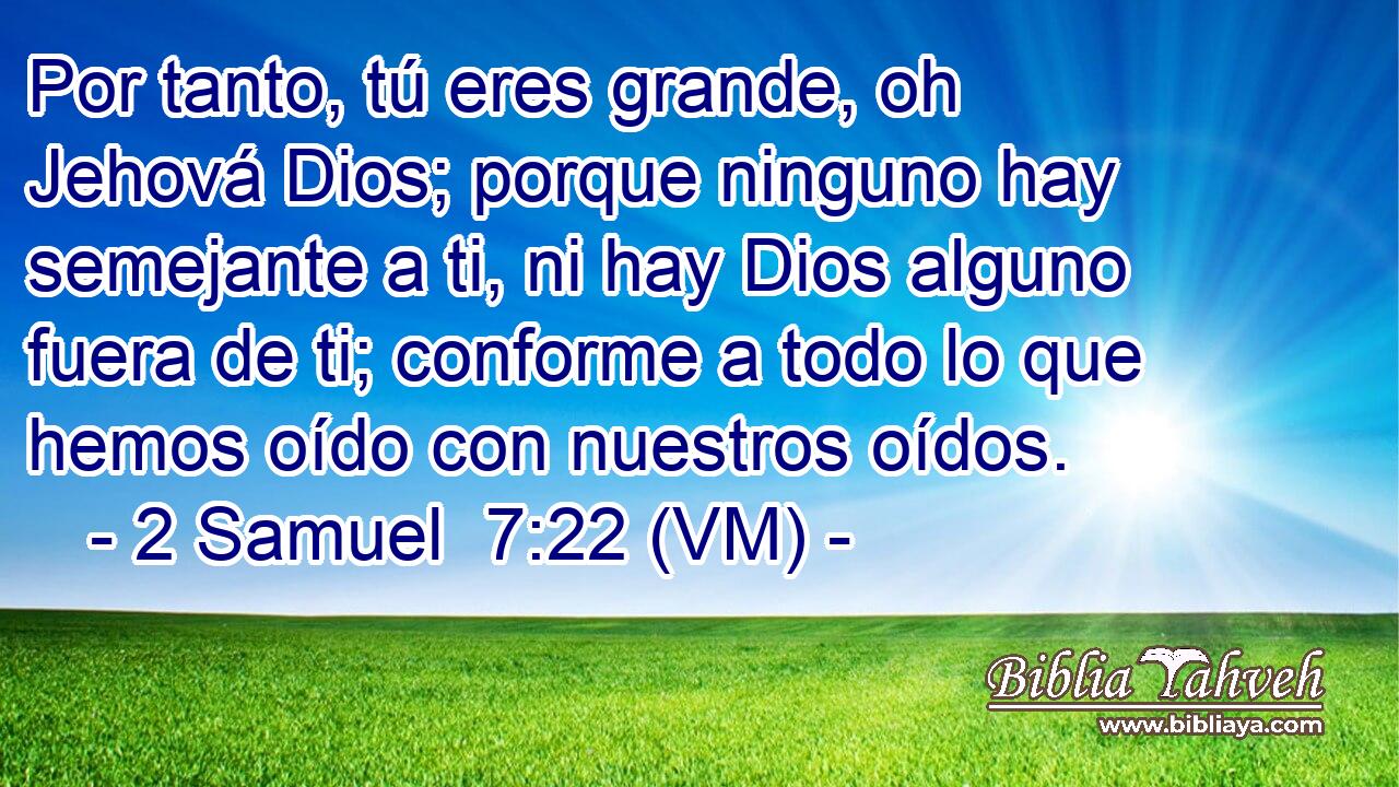  Por tanto, tú eres grande, oh Jehová Dios; porque ninguno hay semejante a ti, ni hay Dios alguno fuera de ti; conforme a todo lo que hemos oído con nuestros oídos. 