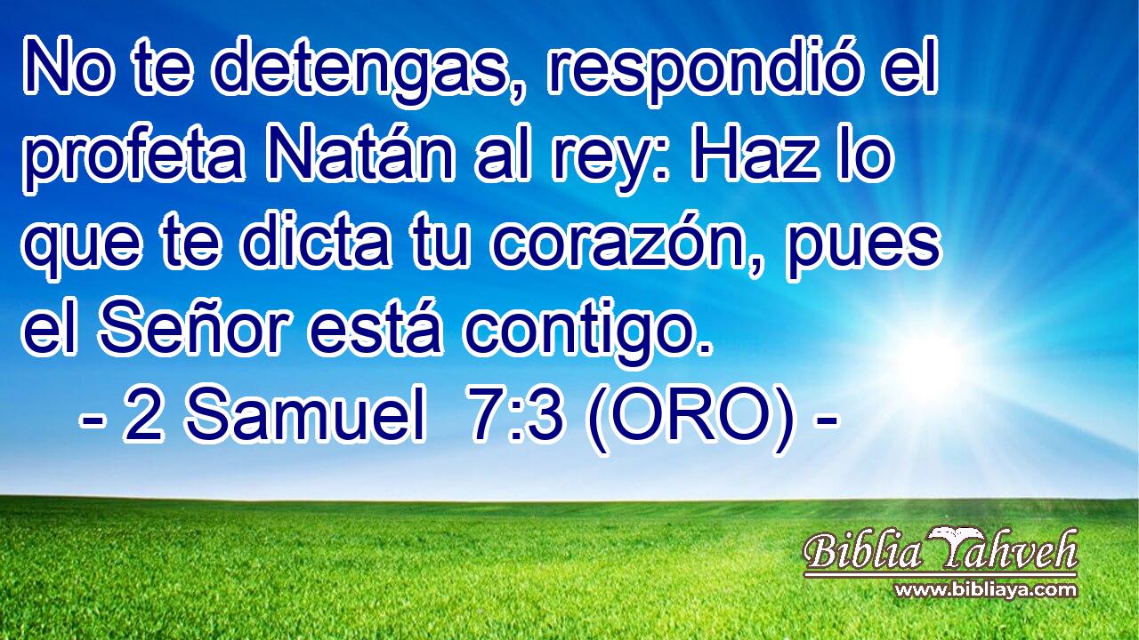  No te detengas, respondió el profeta Natán al rey: Haz lo que te dicta tu corazón, pues el Señor está contigo. 