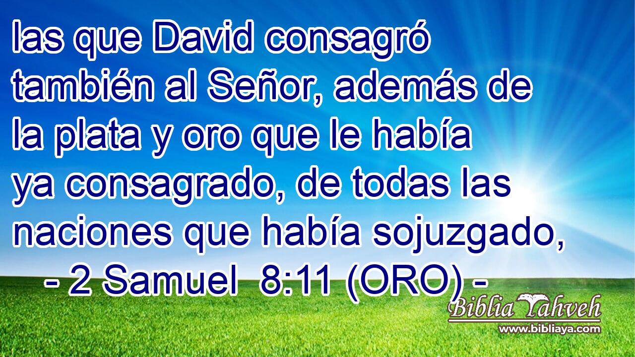  las que David consagró también al Señor, además de la plata y oro que le había ya consagrado, de todas las naciones que había sojuzgado, 