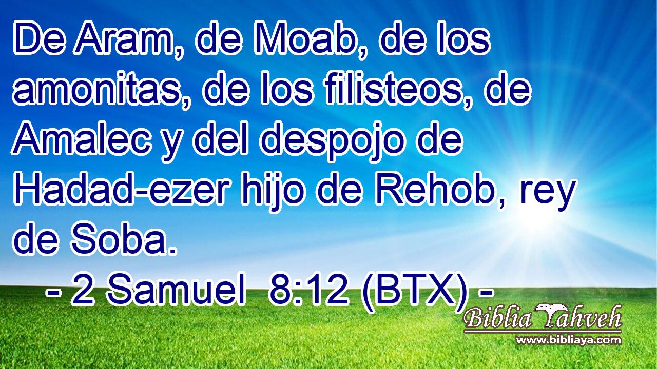 De Aram, de Moab, de los amonitas, de los filisteos, de Amalec y del despojo de Hadad-ezer hijo de Rehob, rey de Soba.