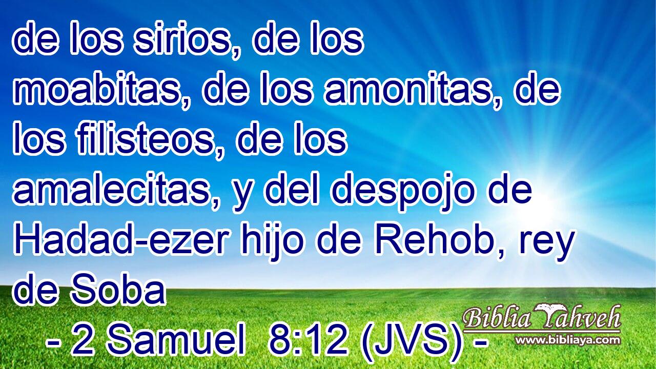 de los sirios, de los moabitas, de los amonitas, de los filisteos, de los amalecitas, y del despojo de Hadad-ezer hijo de Rehob, rey de Soba