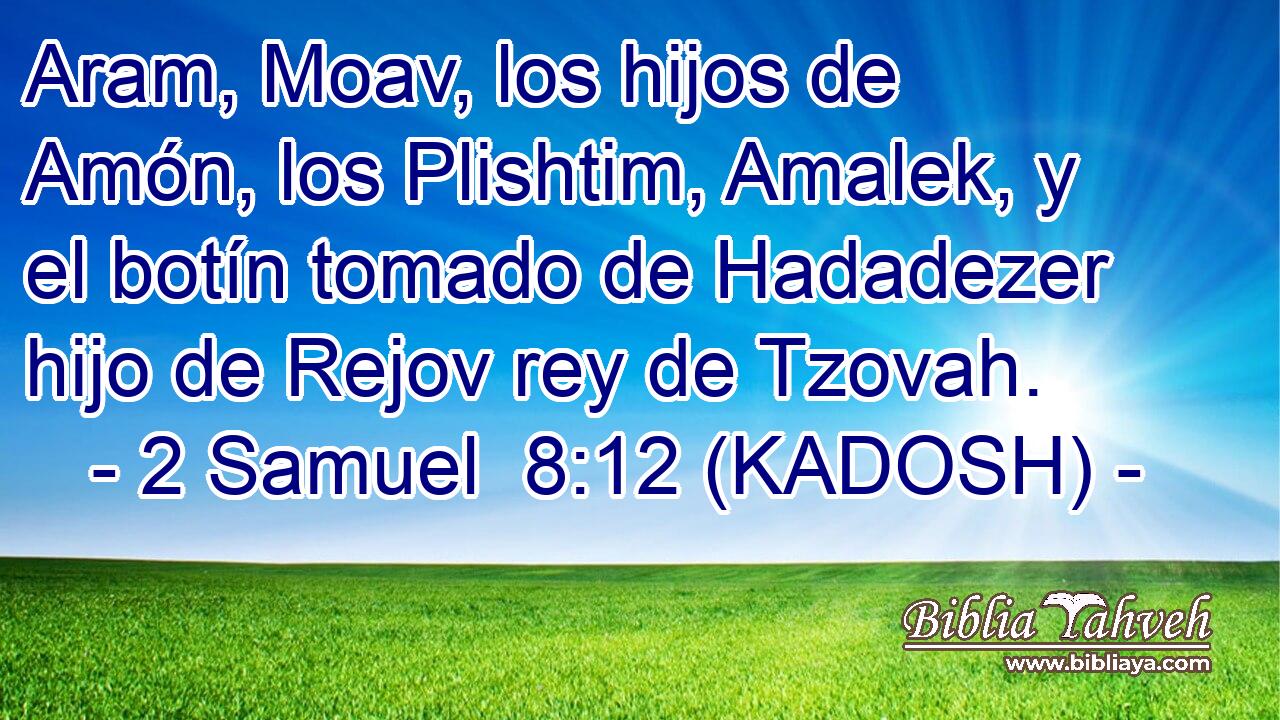  Aram, Moav, los hijos de Amón, los Plishtim, Amalek, y el botín tomado de Hadadezer hijo de Rejov rey de Tzovah. 