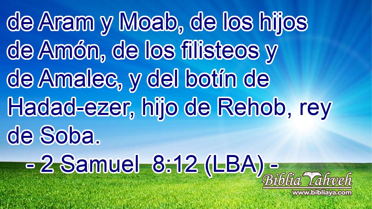 de Aram y Moab, de los hijos de Amón, de los filisteos y de Amalec, y del botín de Hadad-ezer, hijo de Rehob, rey de Soba.