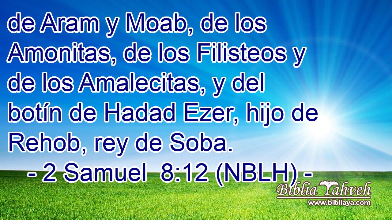  de Aram y Moab, de los Amonitas, de los Filisteos y de los Amalecitas, y del botín de Hadad Ezer, hijo de Rehob, rey de Soba. 