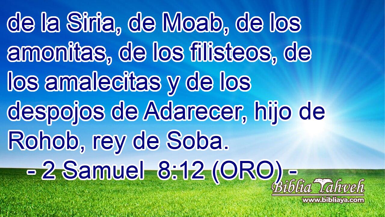 de la Siria, de Moab, de los amonitas, de los filisteos, de los amalecitas y de los despojos de Adarecer, hijo de Rohob, rey de Soba. 