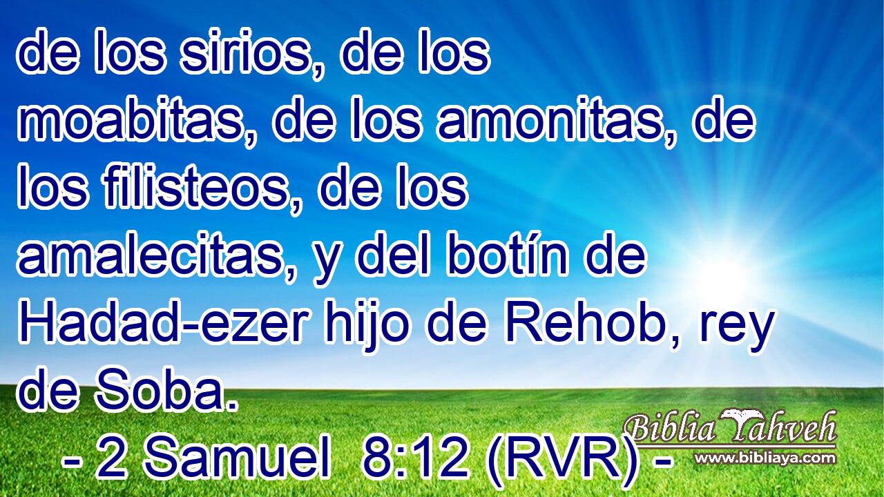 de los sirios, de los moabitas, de los amonitas, de los filisteos, de los amalecitas, y del botín de Hadad-ezer hijo de Rehob, rey de Soba.