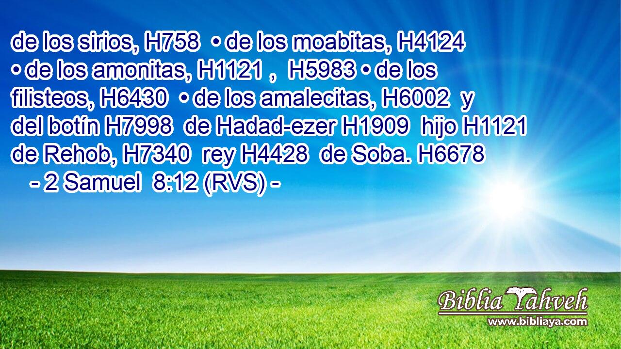 de los sirios, H758  • de los moabitas, H4124  • de los amonitas, H1121 ,  H5983 • de los filisteos, H6430  • de los amalecitas, H6002  y del botín H7998  de Hadad-ezer H1909  hijo H1121  de Rehob, H7340  rey H4428  de Soba. H6678  
