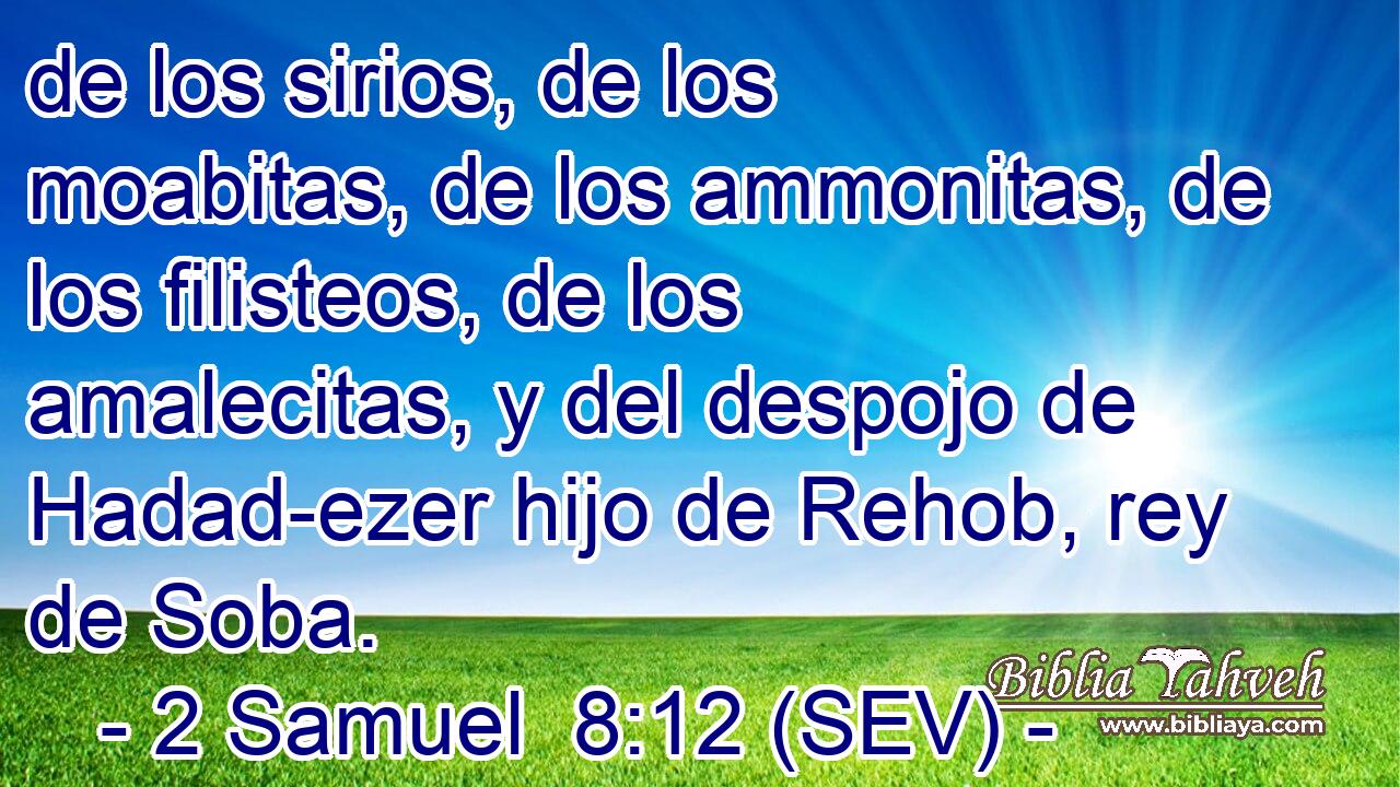de los sirios, de los moabitas, de los ammonitas, de los filisteos, de los amalecitas, y del despojo de Hadad-ezer hijo de Rehob, rey de Soba.