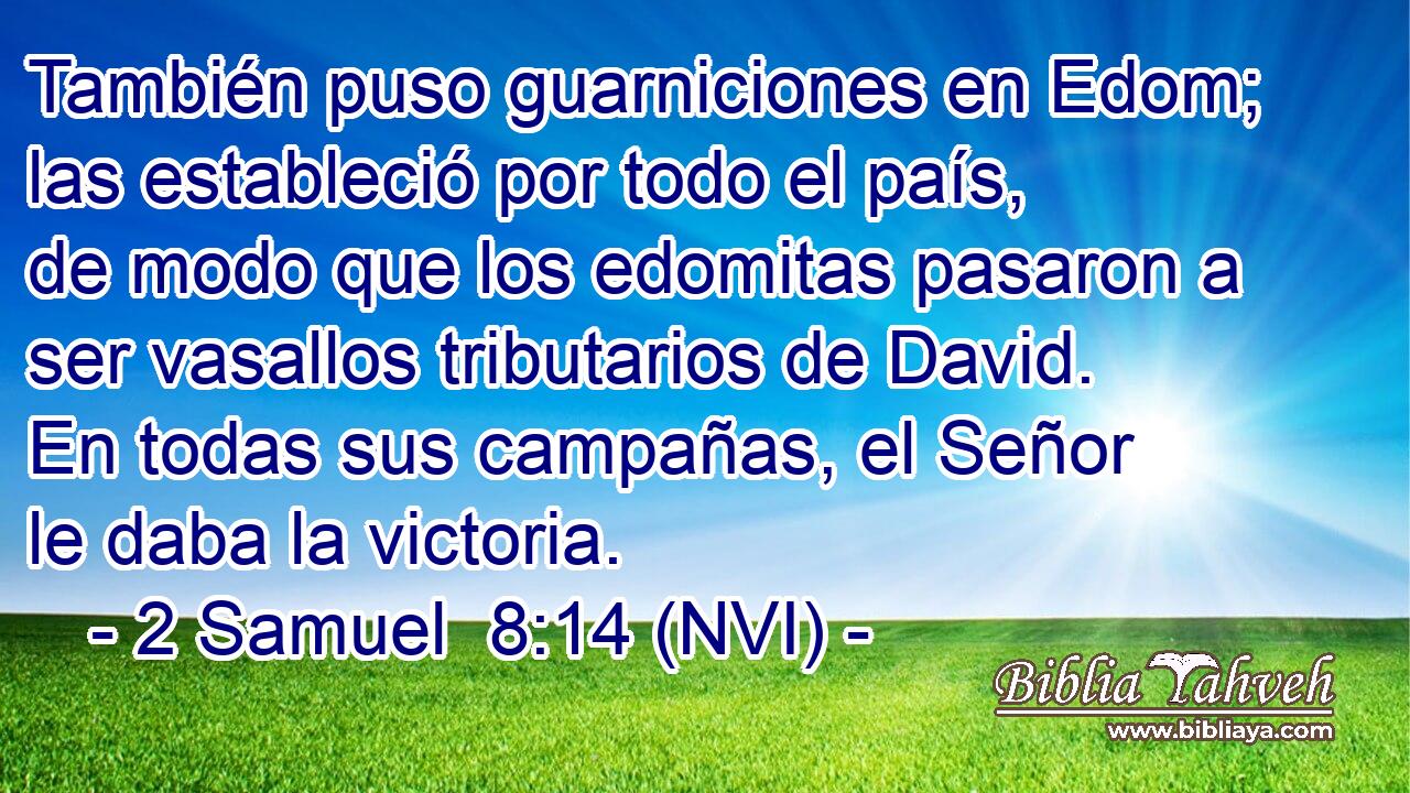  También puso guarniciones en Edom; las estableció por todo el país, de modo que los edomitas pasaron a ser vasallos tributarios de David. En todas sus campañas, el Señor le daba la victoria. 