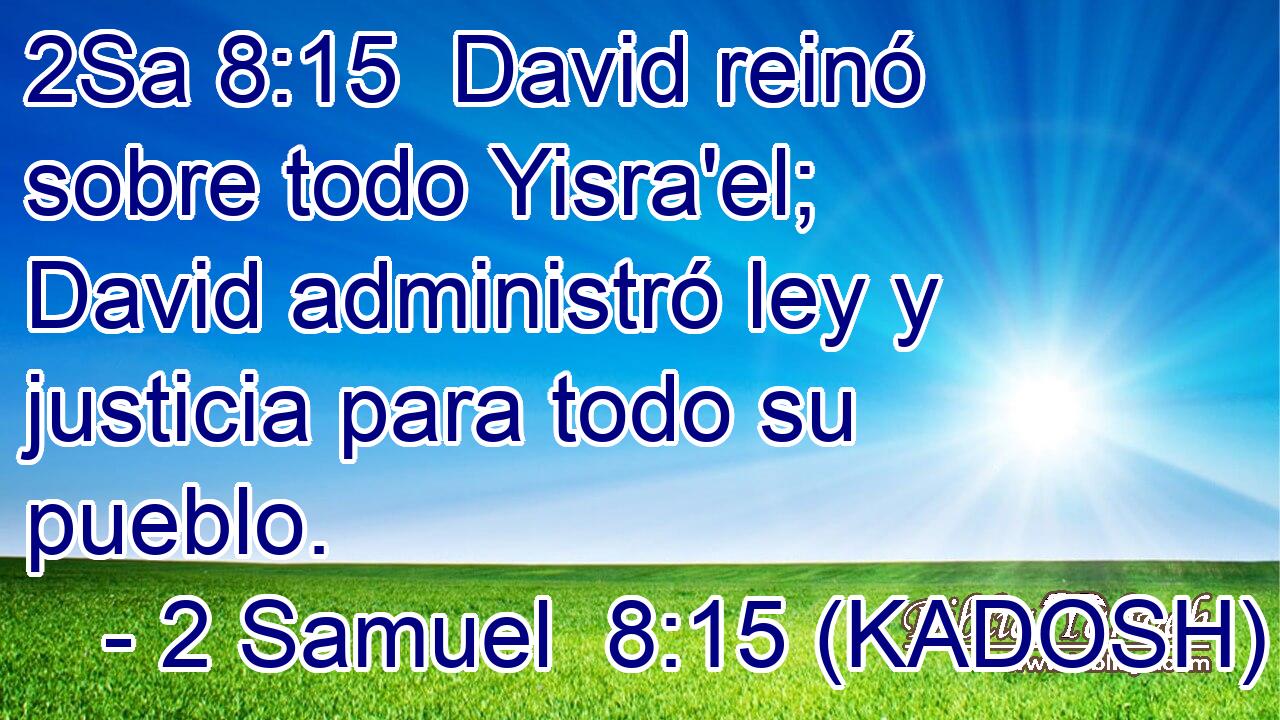  David reinó sobre todo Yisra'el; David administró ley y justicia para todo su pueblo. 