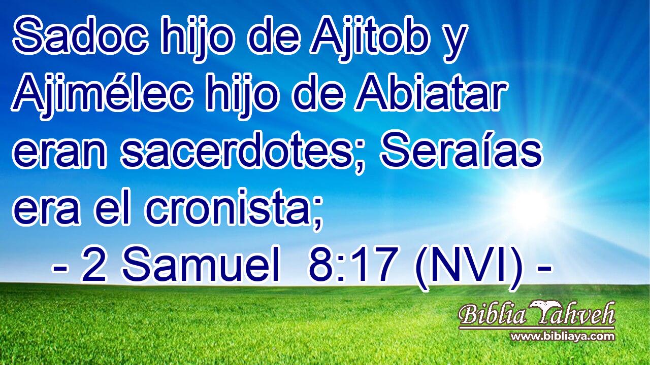  Sadoc hijo de Ajitob y Ajimélec hijo de Abiatar eran sacerdotes; Seraías era el cronista; 