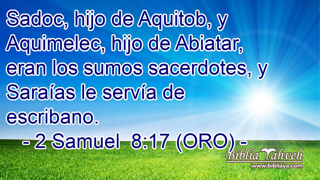  Sadoc, hijo de Aquitob, y Aquimelec, hijo de Abiatar, eran los sumos sacerdotes, y Saraías le servía de escribano. 
