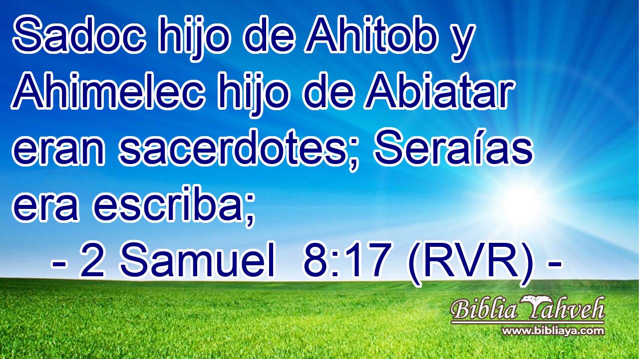 Sadoc hijo de Ahitob y Ahimelec hijo de Abiatar eran sacerdotes; Seraías era escriba;