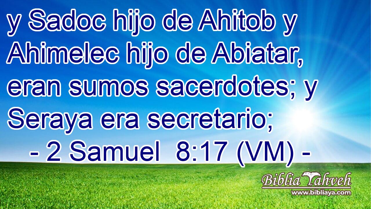  y Sadoc hijo de Ahitob y Ahimelec hijo de Abiatar, eran sumos sacerdotes; y Seraya era secretario; 